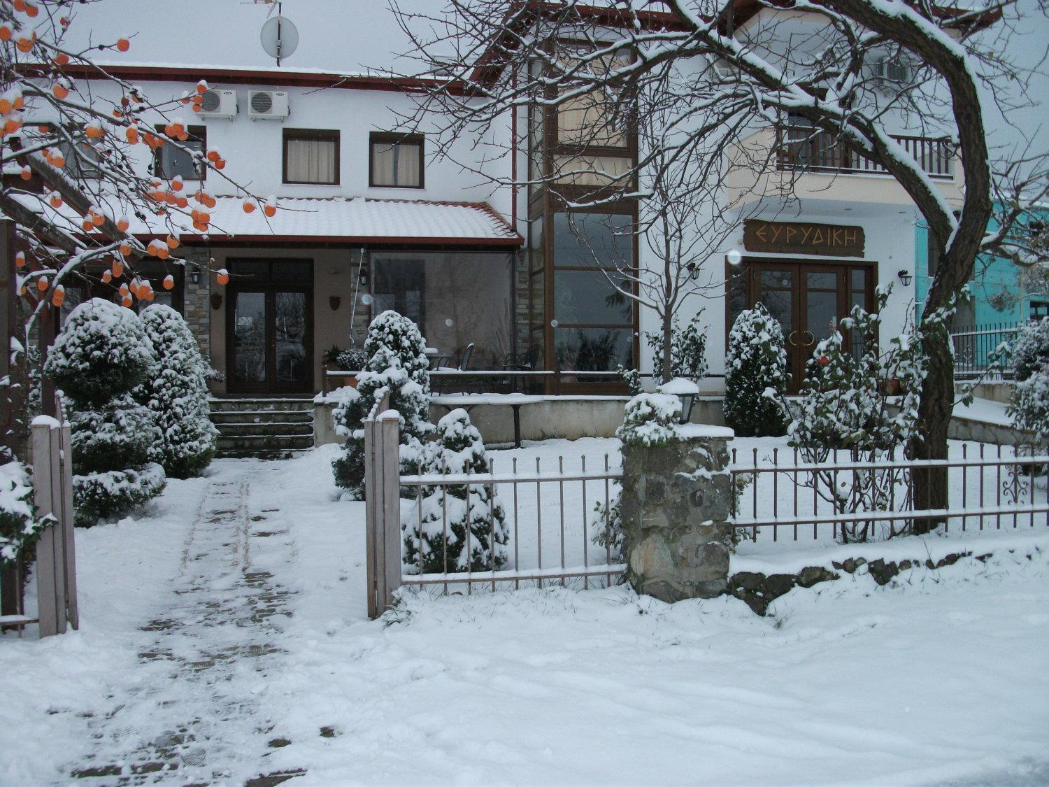 Evridiki Hotel Vergina Exterior photo